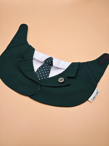 Windsor – Burgundy Pet Suit for Dogs & Cats | Elegant Outfit