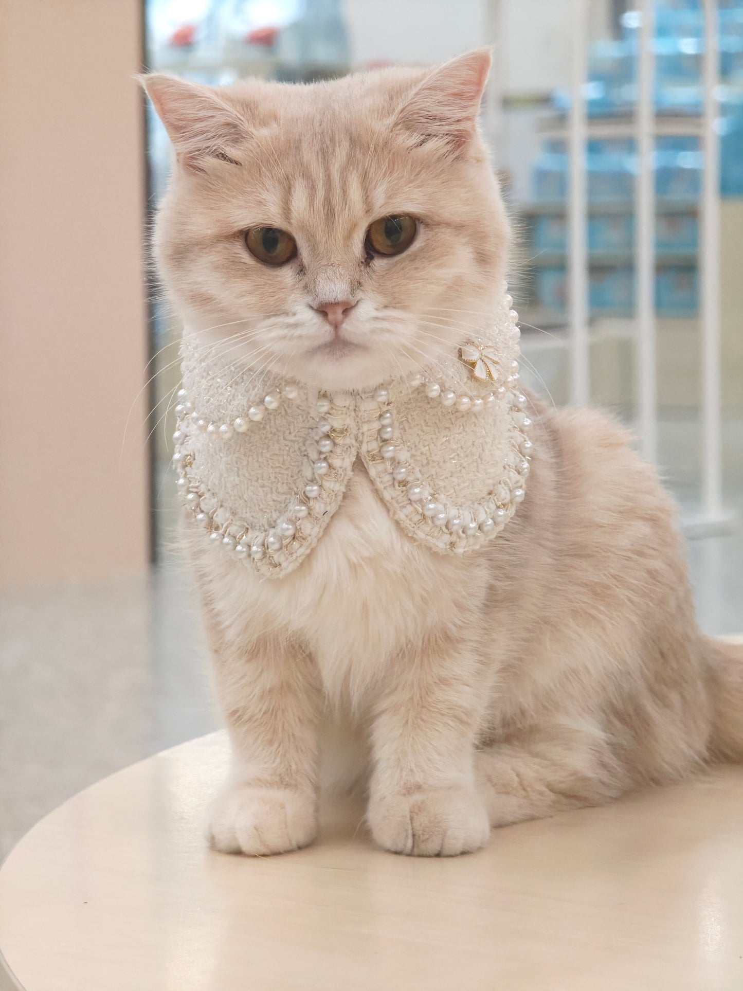 Jacqueline – Black & White Pearl Dog Jacket | Chic Formal Look