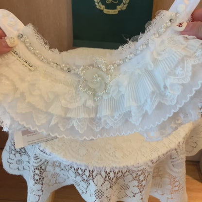 Juliette – Lace Dog Dress | Elegant Formal Style