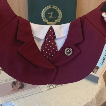 Windsor – Burgundy & Green Dog Suit | Elegant Outfit
