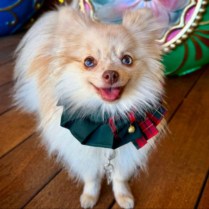 White dog wearing Christmas dress, red and green plaid with bowtie and bell, handmade festive pet clothing